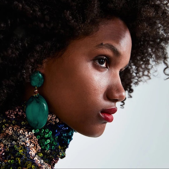 Zara Jewelry - NWOT EARRINGS